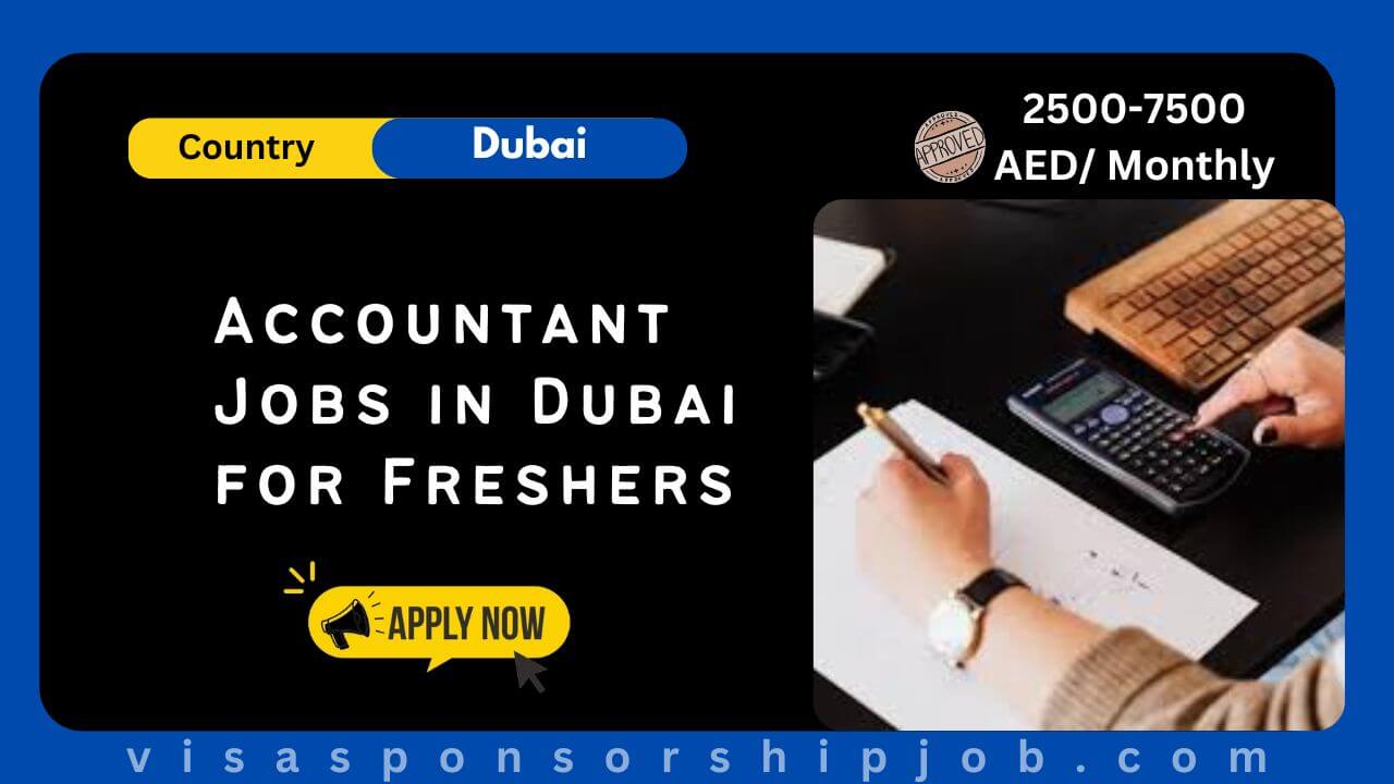 Accountant Jobs in Dubai for Freshers