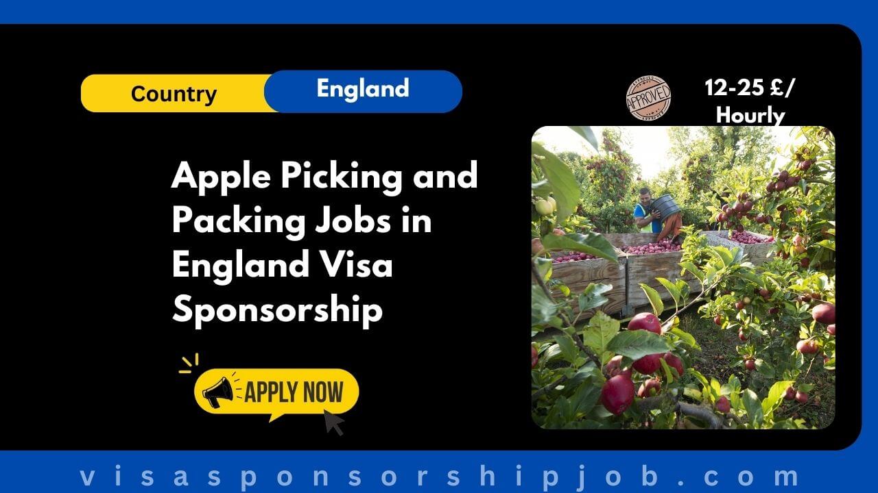 Apple Picking and Packing Jobs in England Visa Sponsorship