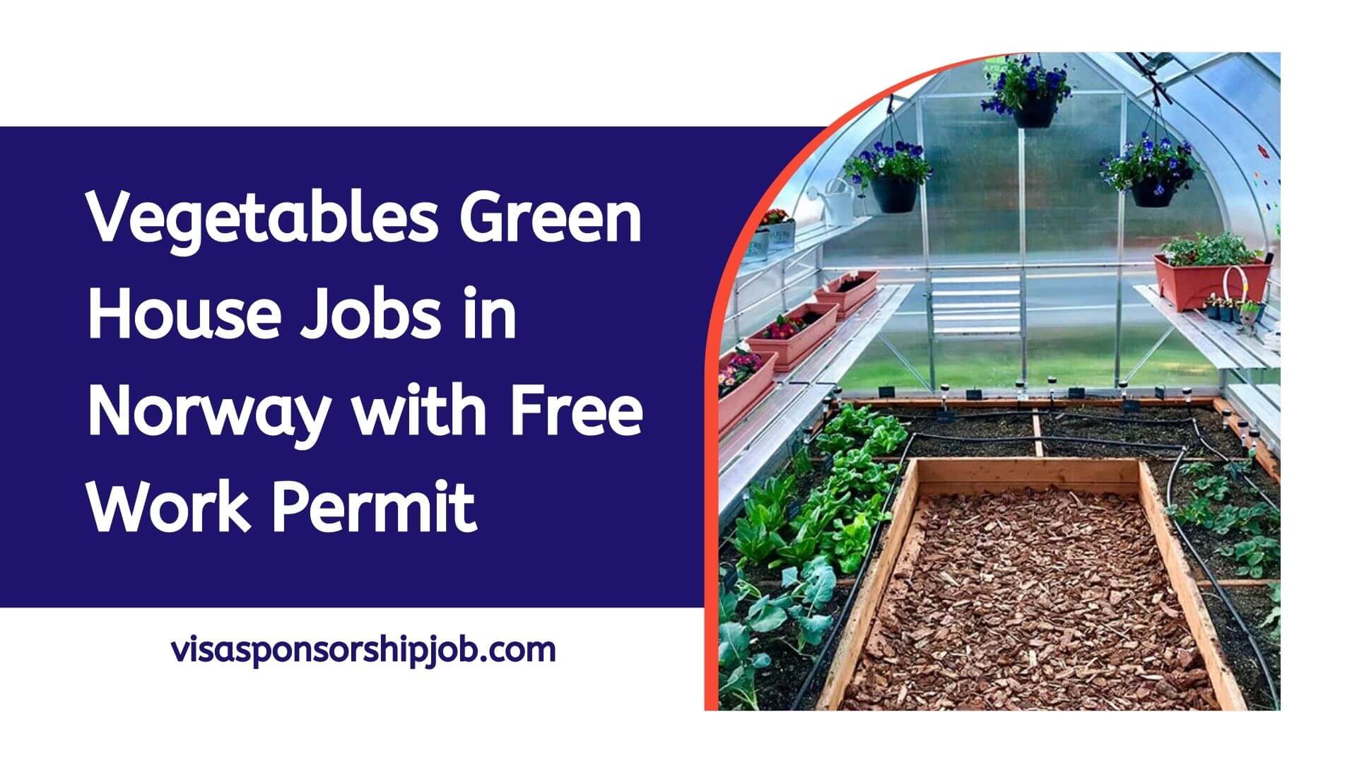 Vegetables Green House Jobs in Norway with Free Work Permit