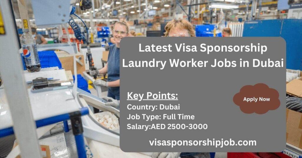 Latest Visa Sponsorship Laundry Worker Jobs in Dubai