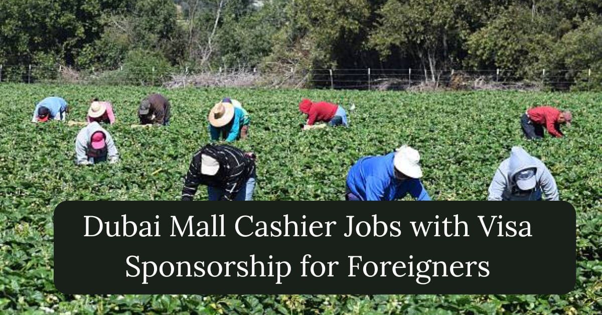 Farm Labourer Jobs in Canada Visa Sponsorship