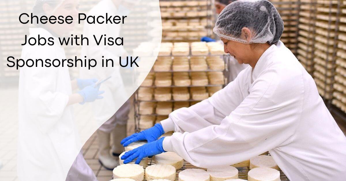 Cheese Packer Jobs with Visa Sponsorship in UK