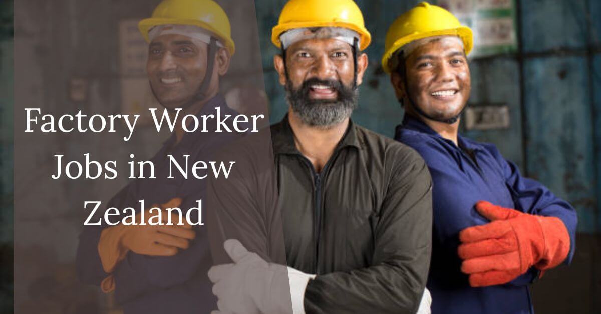 Factory Worker Jobs in New Zealand