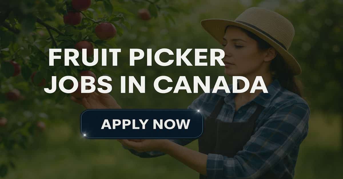 Fruit Picker Jobs in Canada