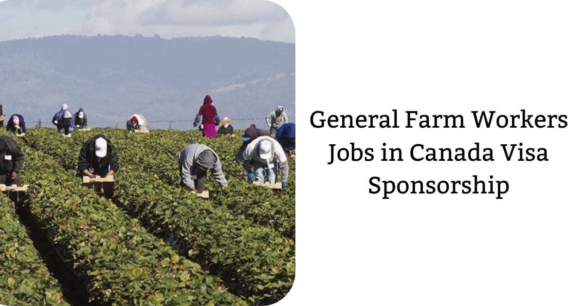 General Farm Workers Jobs in Canada Visa Sponsorship