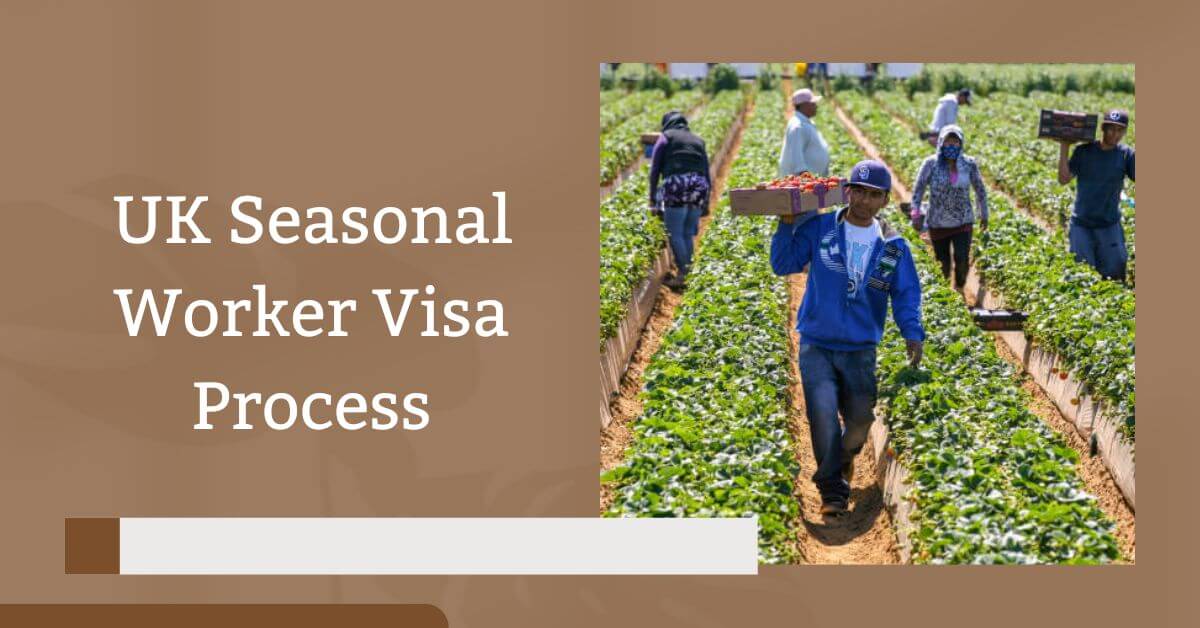 UK Seasonal Worker Visa Process