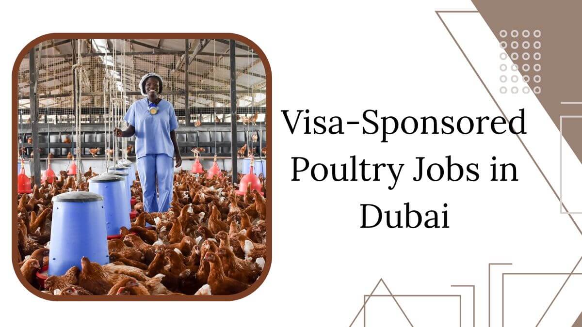 Visa-Sponsored Poultry Jobs in Dubai