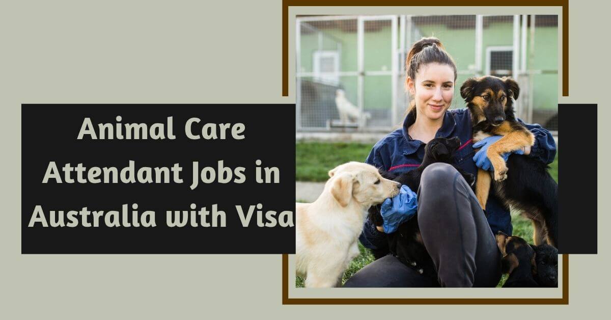 Animal Care Attendant Jobs in Australia with Visa