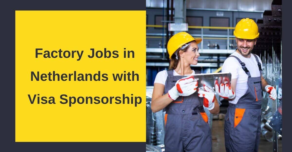 Factory Jobs in Netherlands with Visa Sponsorship