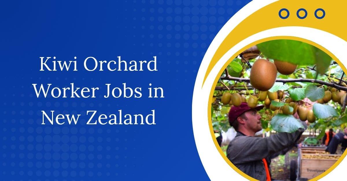 Kiwi Orchard Worker Jobs in New Zealand