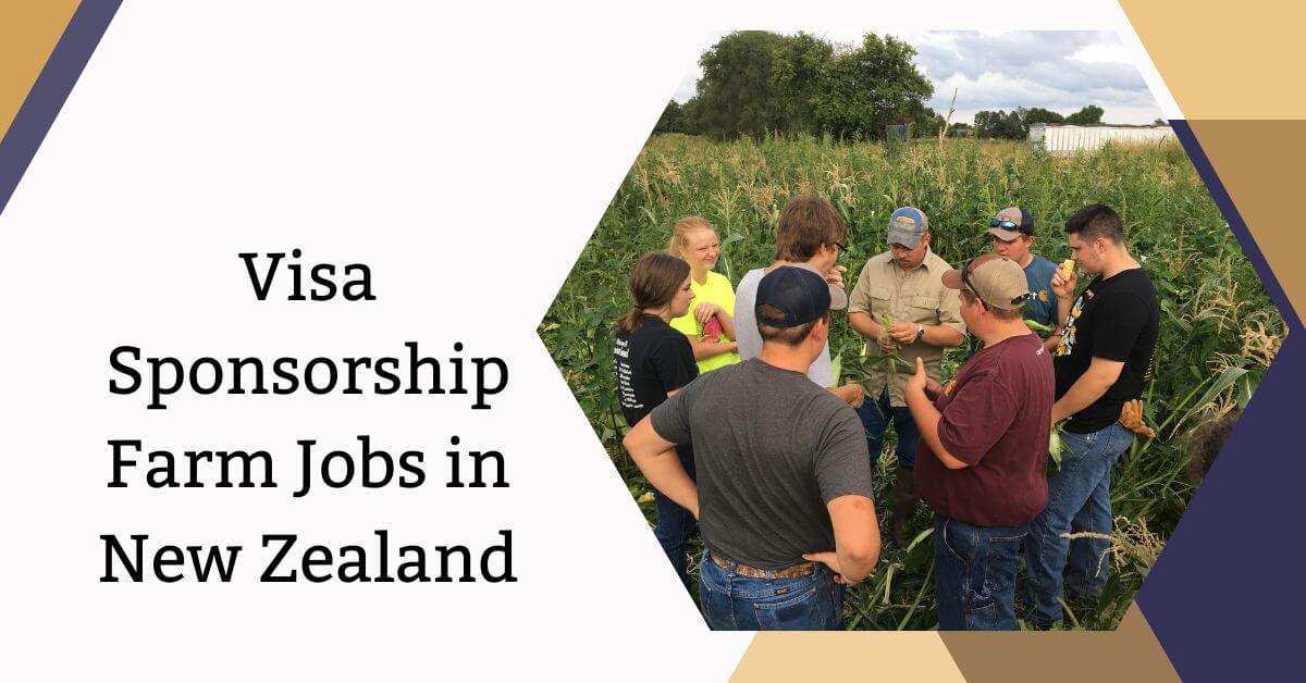 Visa Sponsorship Farm Jobs in New Zealand